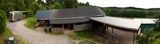 gallery_torparrian_31