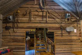 gallery_torparrian_47